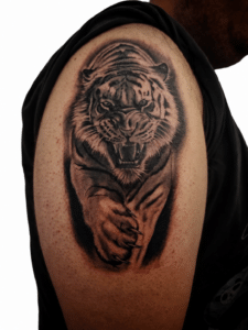 Black and grey realism tiger shoulder tattoo by Anderson, Perth