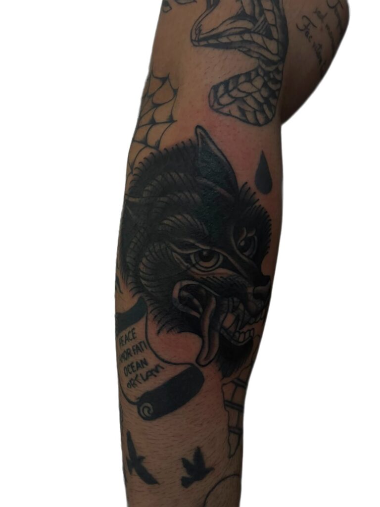 Traditional blackwork panther forearm tattoo, Perth WA